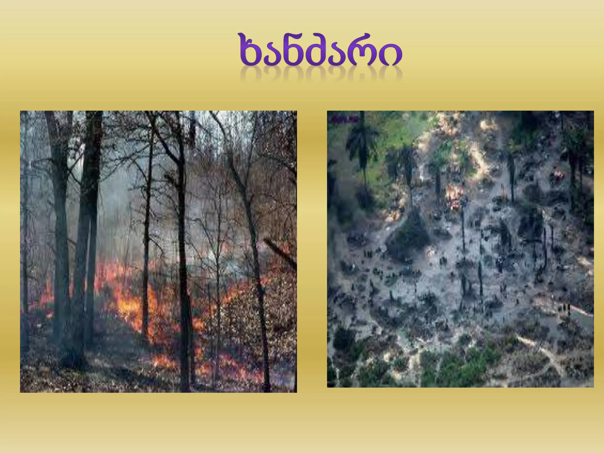 დედამიწა ავადაა