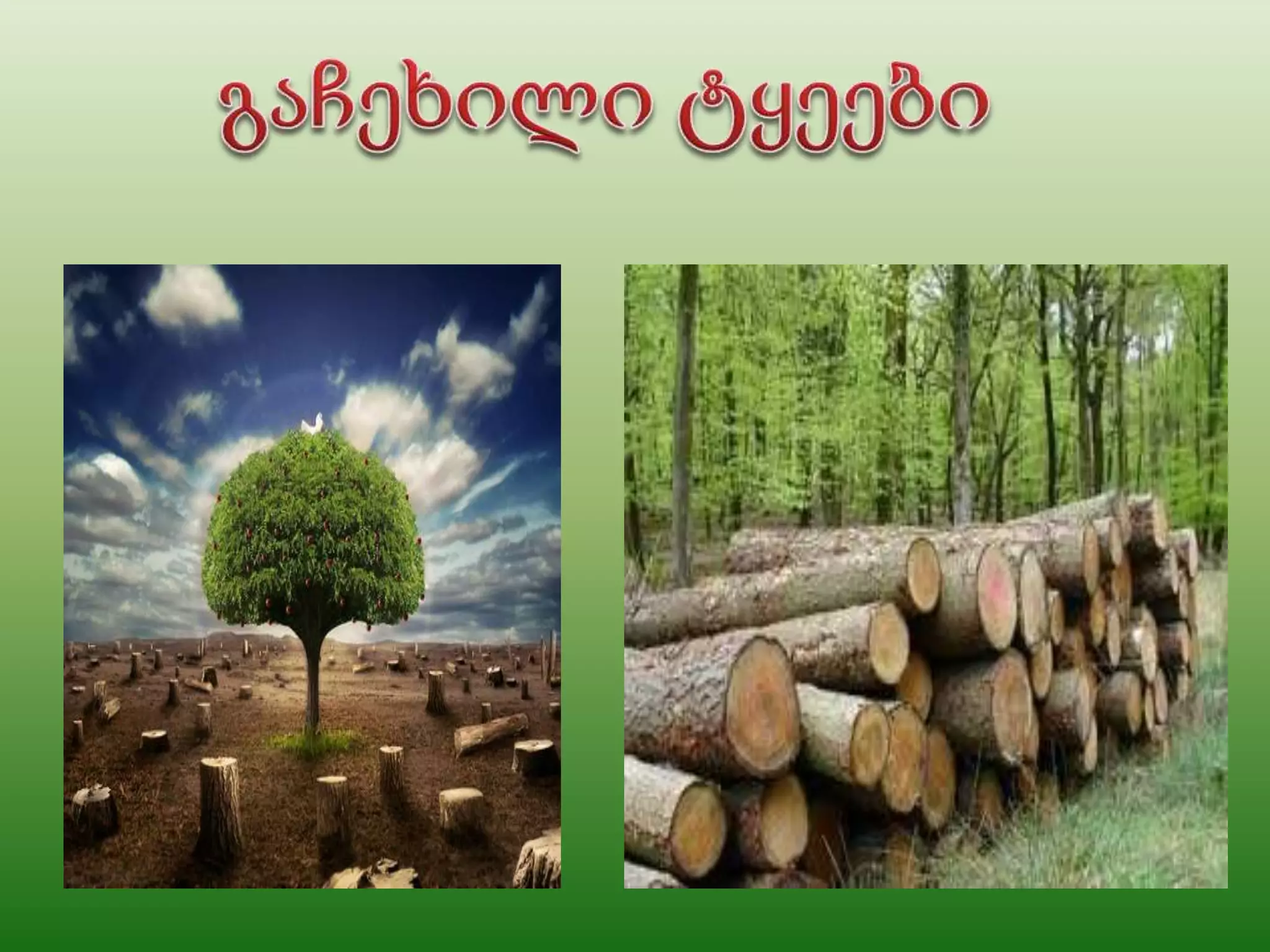 დედამიწა ავადაა