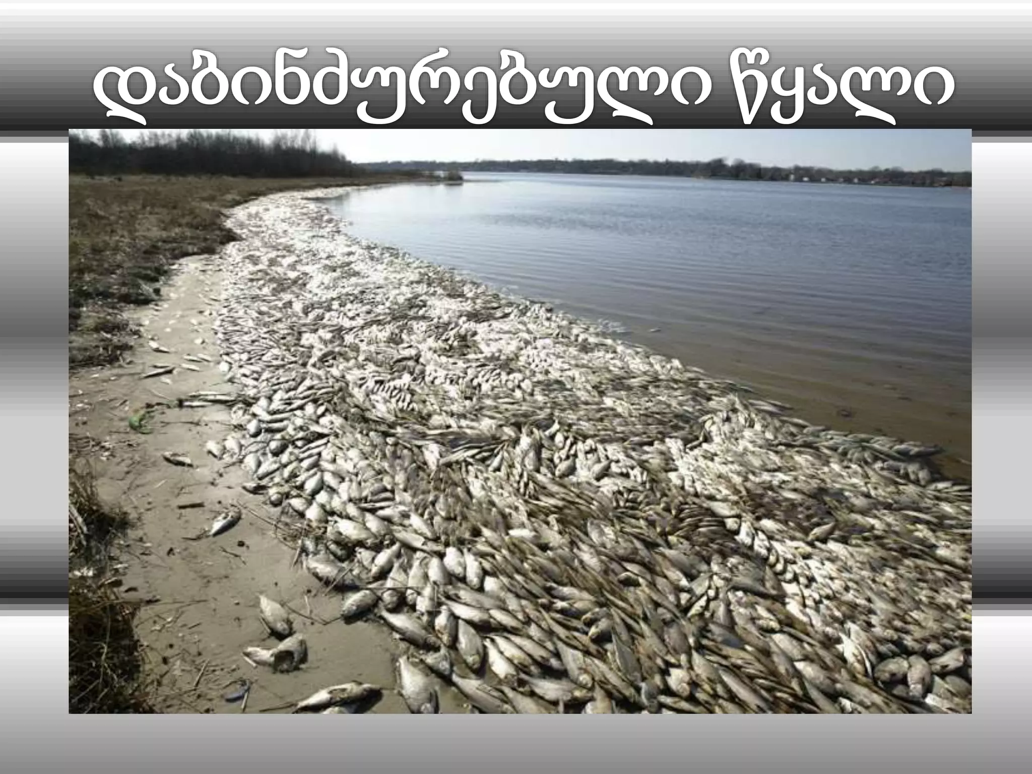 დედამიწა ავადაა