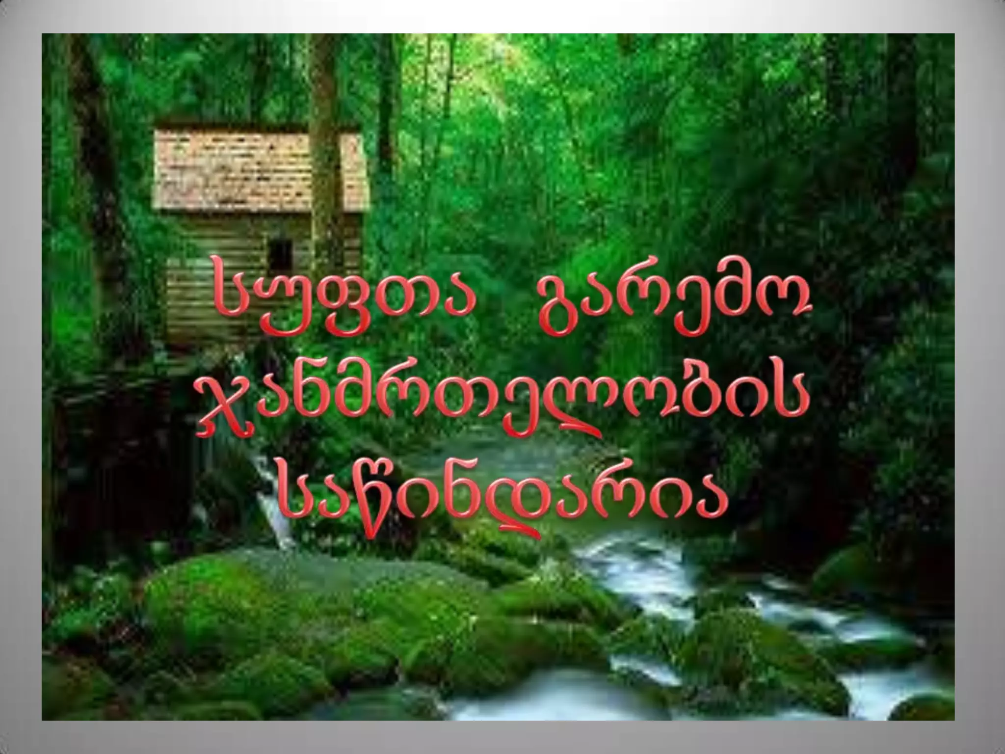 ნაგავი ჩვენს გარშემო