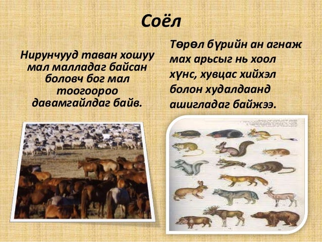 Нирун улс