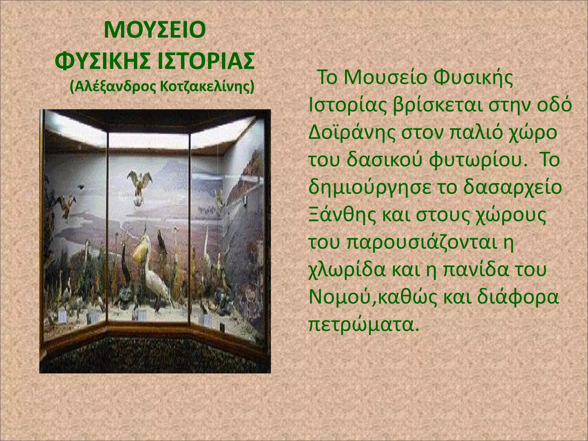 ΜΟΤ΢ΕΙΟ
ΦΤ΢ΙΚΗ΢ Ι΢ΣΟΡΙΑ΢
(Αλζξανδροσ Κοτηακελίνθσ)

Το Μουςείο Φυςικισ
Ιςτορίασ βρίςκεται ςτθν οδό
Δοϊράνθσ ςτον παλιό χϊρο
του δαςικοφ φυτωρίου. Το
δθμιοφργθςε το δαςαρχείο
Ξάνκθσ και ςτουσ χϊρουσ
του παρουςιάηονται θ
χλωρίδα και θ πανίδα του
Νομοφ,κακϊσ και διάφορα
πετρϊματα.

 
