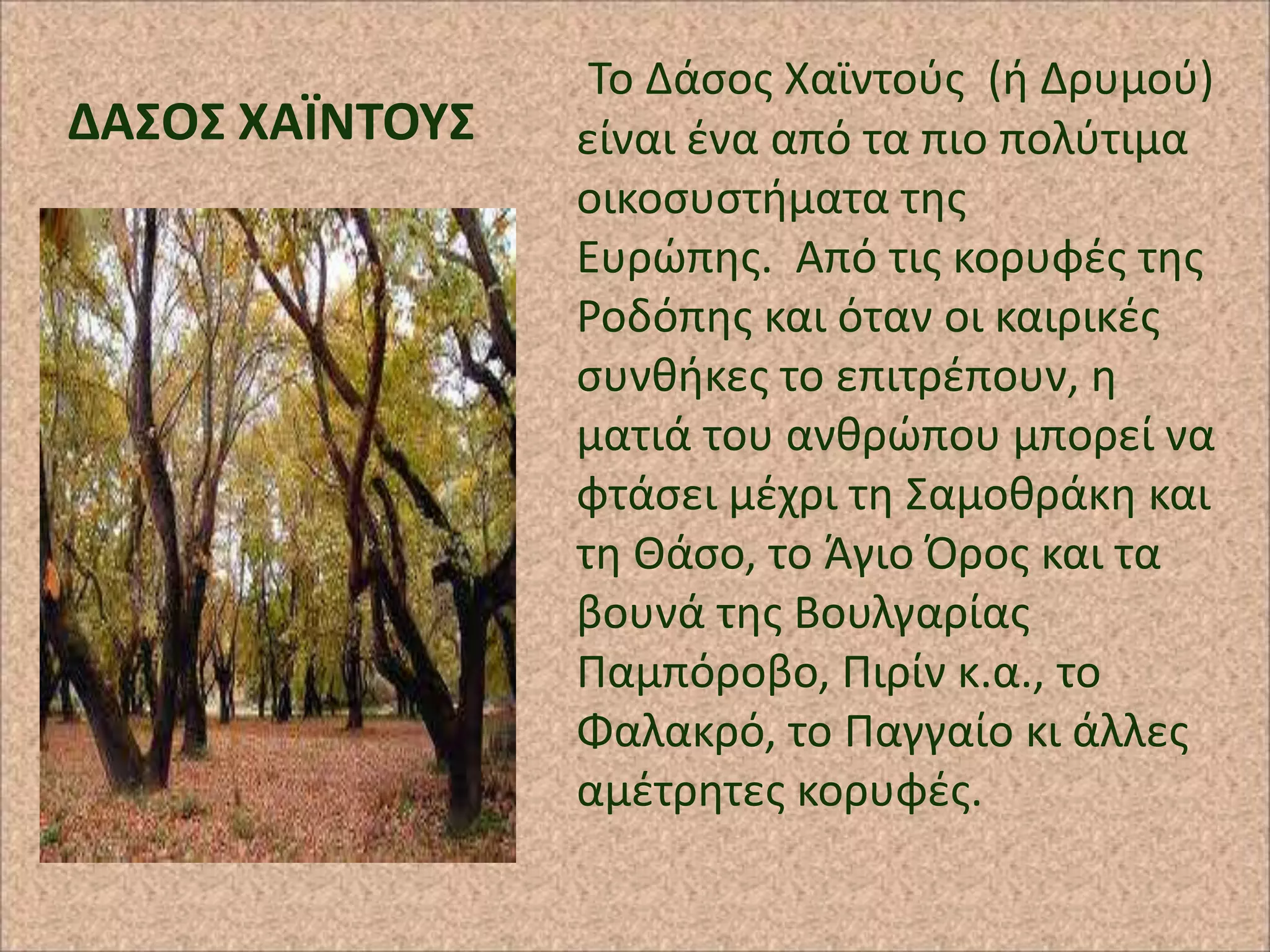 ΔΑ΢Ο΢ ΧΑΪΝΣΟΤ΢

Το Δάςοσ Χαϊντοφσ (ι Δρυμοφ)
είναι ζνα από τα πιο πολφτιμα
οικοςυςτιματα τθσ
Ευρϊπθσ. Από τισ κορυφζσ τθσ
΢οδόπθσ και όταν οι καιρικζσ
ςυνκικεσ το επιτρζπουν, θ
ματιά του ανκρϊπου μπορεί να
φτάςει μζχρι τθ Σαμοκράκθ και
τθ Θάςο, το Άγιο Προσ και τα
βουνά τθσ Βουλγαρίασ
Ραμπόροβο, Ριρίν κ.α., το
Φαλακρό, το Ραγγαίο κι άλλεσ
αμζτρθτεσ κορυφζσ.

 