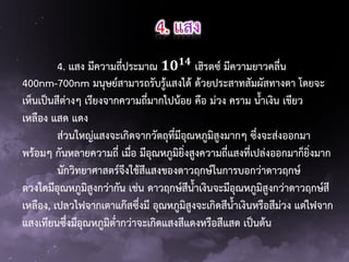 4. แสง มีความถี่ประมาณ 𝟏𝟎 𝟏𝟒 เฮิรตซ์ มีความยาวคลื่น
400nm-700nm มนุษย์สามารถรับรู้แสงได้ ด้วยประสาทสัมผัสทางตา โดยจะ
เห็นเป็นสีต่างๆ เรียงจากความถี่มากไปน้อย คือ ม่วง คราม น้าเงิน เขียว
เหลือง แสด แดง
ส่วนใหญ่แสงจะเกิดจากวัตถุที่มีอุณหภูมิสูงมากๆ ซึ่งจะส่งออกมา
พร้อมๆ กันหลายความถี่ เมื่อ มีอุณหภูมิยิ่งสูงความถี่แสงทีเปล่งออกมาก็ยิ่งมาก
่
นักวิทยาศาสตร์จึงใช้สีแสงของดาวฤกษ์ในการบอกว่าดาวฤกษ์
ดวงใดมีอุณหภูมิสูงกว่ากัน เช่น ดาวฤกษ์สีน้าเงินจะมีอุณหภูมิสูงกว่าดาวฤกษ์สี
เหลือง, เปลวไฟจากเตาแก๊สซึ่งมี อุณหภูมสูงจะเกิดสีน้าเงินหรือสีม่วง แต่ไฟจาก
ิ
แสงเทียนซึ่งมีอุณหภูมิต่ากว่าจะเกิดแสงสีแดงหรือสีแสด เป็นต้น

 