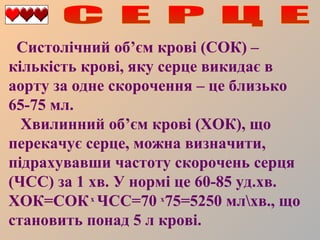 Систолічний об’єм крові (СОК) –
кількість крові, яку серце викидає в
аорту за одне скорочення – це близько
65-75 мл.
Хвилинний об’єм крові (ХОК), що
перекачує серце, можна визначити,
підрахувавши частоту скорочень серця
(ЧСС) за 1 хв. У нормі це 60-85 уд.хв.
ХОК=СОК х ЧСС=70 х75=5250 млхв., що
становить понад 5 л крові.

 