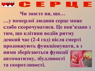 Чи знаєте ви, що…
…у померлої людини серце може
слабо скорочуватися. Це пов’язано з
тим, що клітини водіїв ритму
деякий час (2-4 год) після смерті
продовжують функціонувати, а з
ними зберігаються функції
автоматизму, збудливості
та скоротливості.

 