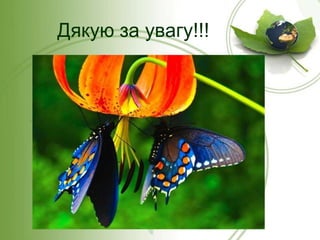 Дякую за увагу!!!

 