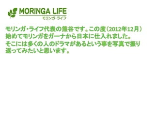 モリンガライフパウダーの軌跡