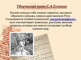 Творческий путь С.А.Есенина
Есенин показал себя тонким лириком, мастером
образного пейзажа, певцом крестьянской Руси.
Складывается особый есенинский «антропоморфизм»:
поэт очеловечивает животных, растения, явления
природы, которые все вместе составляют особый,
единый мир.

 