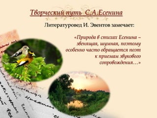 Творческий путь С.А.Есенина
Литературовед И. Эвентов замечает:

«Природа в стихах Есенина –
звенящая, шумная, поэтому
особенно часто обращается поэт
к приемам звукового
сопровождения…»

 