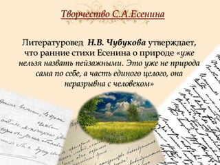 Творчество С.А.Есенина
Литературовед Н.В. Чубукова утверждает,
что ранние стихи Есенина о природе «уже
нельзя назвать пейзажными. Это уже не природа
сама по себе, а часть единого целого, она
неразрывна с человеком»

 