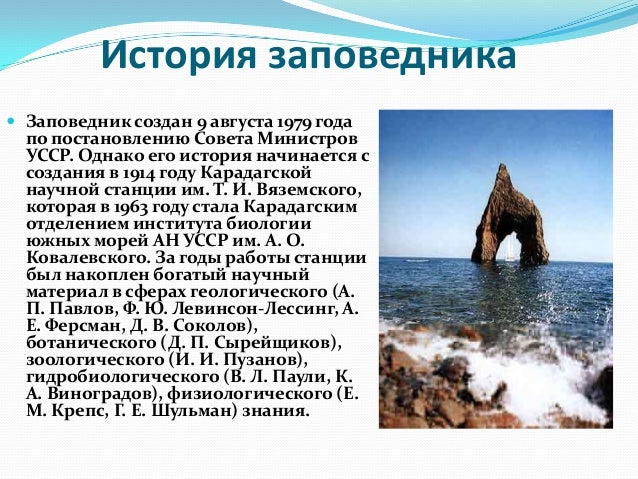 карадагский природный заповедник. базилевич а