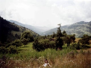 карпати