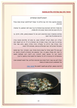 ‫שיפודי חזה עוף במרינדה צלויים במחבת‬
‫דגשים להכנת השיפודים‬
‫מבקשים מהקצב נתחי חזה עוף גדולים כדי שנוכל ליצור/לחתוך קוביות שוות בגודל‬
‫1-8 ס"מ.‬
‫את משרה הטריאקי מערבבים עם השיפודים רק עד שעה לפני השימוש, כדי שהסויה‬
‫והיין לא יצבעו את פנים הבשר בצבע כהה ולא מפתה.‬
‫מוודאים שהמשרה טעים ומרגישים היטב את כל הטעמים (מתוק, מלוח, חריף), כך‬
‫תרגישו אותם על בשר העוף.‬
‫הצלייה היא השלב הקריטי להצלחת המנה, אז שימו לב: מלהיטים מחבת כבדה‬
‫ומניחים על שטח פניה בצורה מסודרת את השיפודים זה ליד זה (יש לעשות זאת‬
‫מהר בעזרת שתי הידיים כדי שהצלייה תהיה אחידה בזמן). ברגע שצד אחד‬
‫מתקרמל הופכים לצד השני ומקרמלים גם אותו, ומוציאים לכלי הגשה.‬
‫כאן נכנס כלל חשוב שחוזר על עצמו בהכנת שניצל, קבב, המבורגר, כבדי עוף וכמעט‬
‫כל חומר גלם שנצלה באופן זה: אחרי שהוצאנו את השיפודים לתבנית ההגשה יש‬
‫לחכות דקה כדי שהעוף ימשיך להתרכך ויגיע לרמת ריכוך מושלמת (חשוב‬
‫שהשיפודים יהיו קרובים זה לזה כדי שישמרו על חומם ויעזרו בהמשך הריכוך).‬
‫תוכלו לגוון עם עשבי תיבול שונים ועם תערובות תבלינים, אבל תעשו לעצמכם טובה‬
‫ואל תשתמשו ברטבים שמוכרים בסופר.‬
‫להרחבה בנושא, הקליקו כאן למעבר לפוסט של שיעור בשר.‬

‫55‬

 