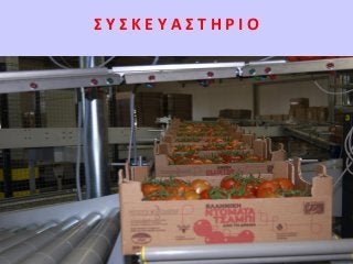 ΣΥΣΚΕΥΑΣΤΗΡΙΟ

DISCLAIMER : Our information and advices are compiled with the greatest possible care
and represents the latest State-of the-Art , but are at all times without any obligation.

 