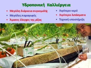 Υδροπονική Καλλιέργεια
• Μεγάλη διάρκεια συγκομιδής
• Μεγάλες παραγωγές
• Άμεσος έλεγχος της ρίζας

• Λιγότερο νερό
• Λιγότερα λιπάσματα
• Τεχνική υποστήριξη

DISCLAIMER : Our information and advices are compiled with the greatest possible care
and represents the latest State-of the-Art , but are at all times without any obligation.

 
