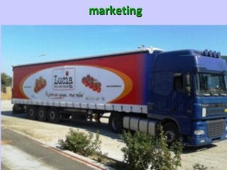 marketing

DISCLAIMER : Our information and advices are compiled with the greatest possible care
and represents the latest State-of the-Art , but are at all times without any obligation.

 