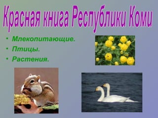 • Млекопитающие.
• Птицы.
• Растения.

 