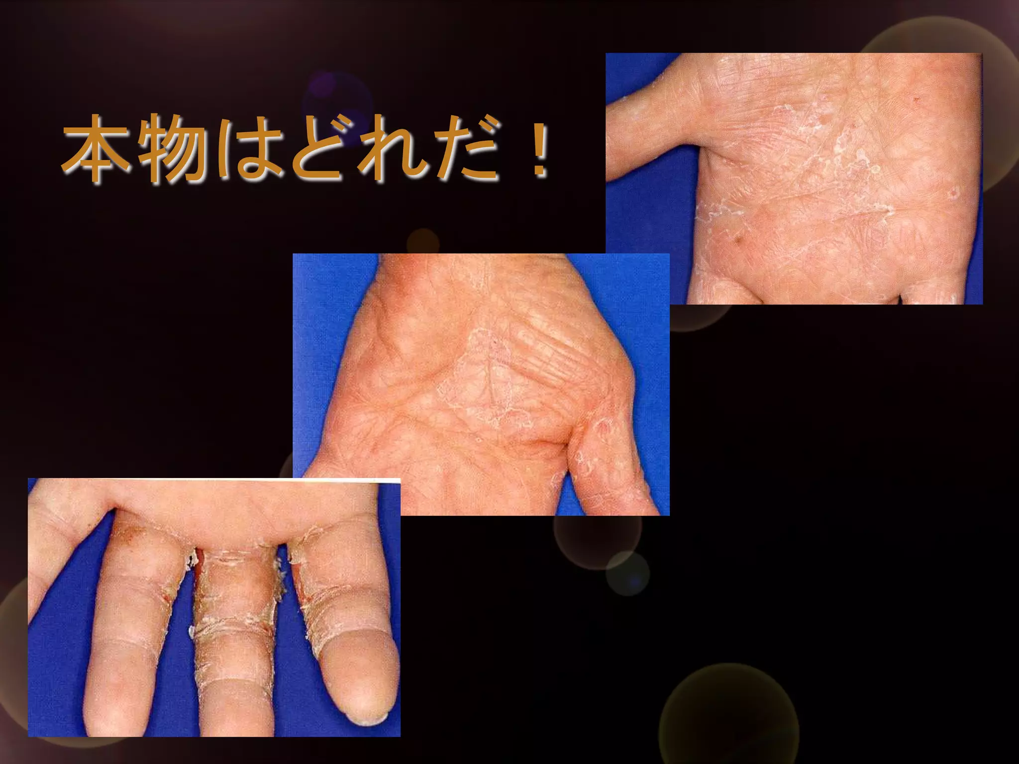 本物はどれだ！	

 