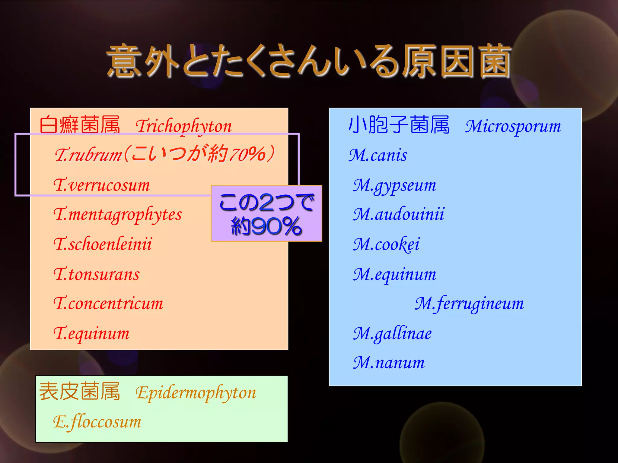 意外とたくさんいる原因菌	
白癬菌属　Trichophyton
　T.rubrum（こいつが約70％）
　T.verrucosum
この2つで
　T.mentagrophytes
約90％
　T.schoenleinii
　T.tonsurans
　T.concentricum
　T.equinum　
　
表皮菌属　Epidermophyton
　E.floccosum

小胞子菌属　Microsporum
M.canis
M.gypseum
M.audouinii
M.cookei
M.equinum
M.ferrugineum
M.gallinae
M.nanum

 