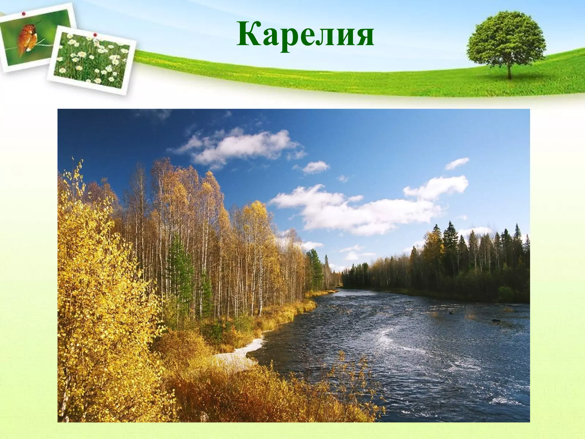 Карелия

 