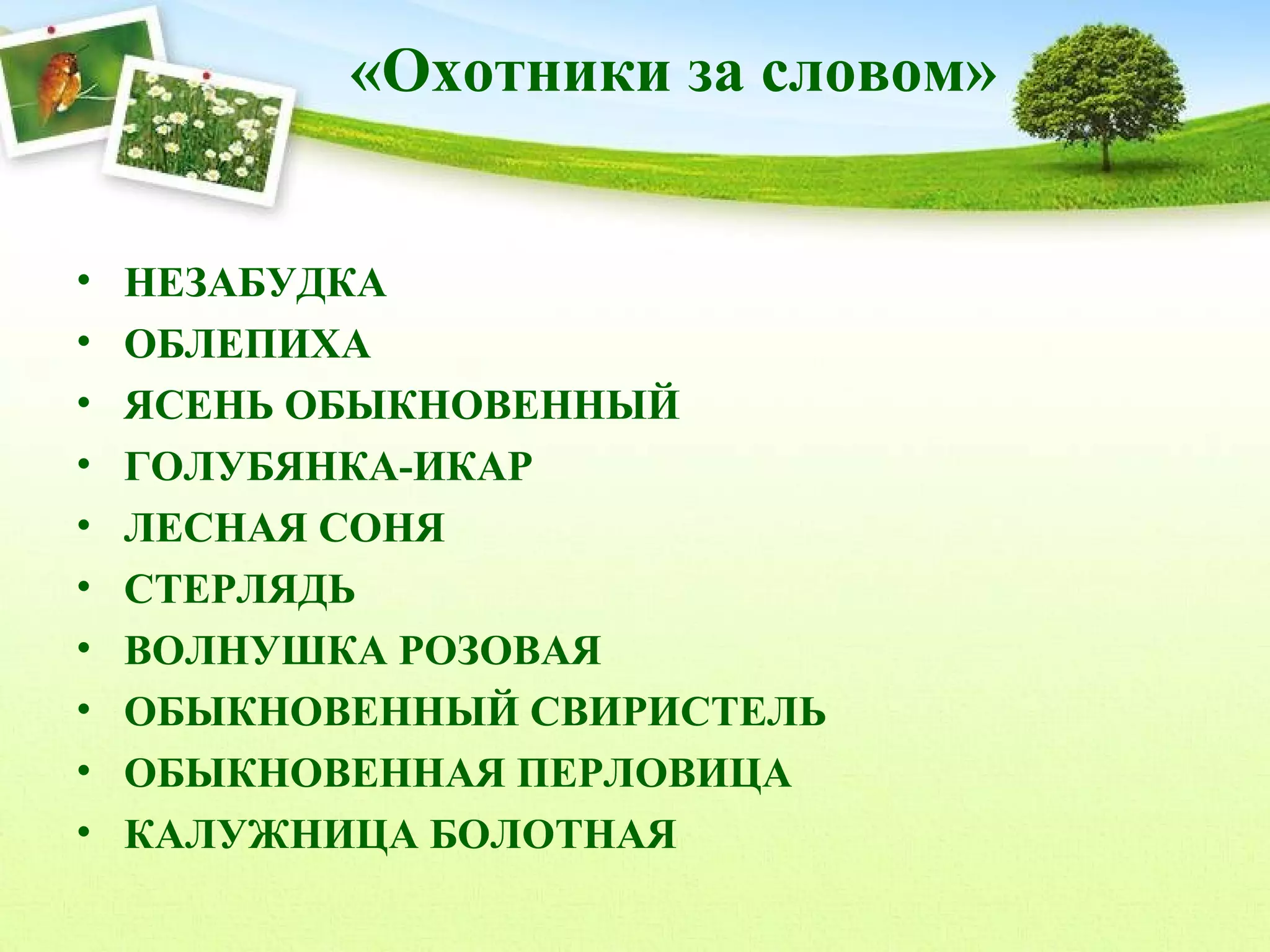 «Охотники за словом»
•
•
•
•
•
•
•
•
•
•

НЕЗАБУДКА
ОБЛЕПИХА
ЯСЕНЬ ОБЫКНОВЕННЫЙ
ГОЛУБЯНКА-ИКАР
ЛЕСНАЯ СОНЯ
СТЕРЛЯДЬ
ВОЛНУШКА РОЗОВАЯ
ОБЫКНОВЕННЫЙ СВИРИСТЕЛЬ
ОБЫКНОВЕННАЯ ПЕРЛОВИЦА
КАЛУЖНИЦА БОЛОТНАЯ

 