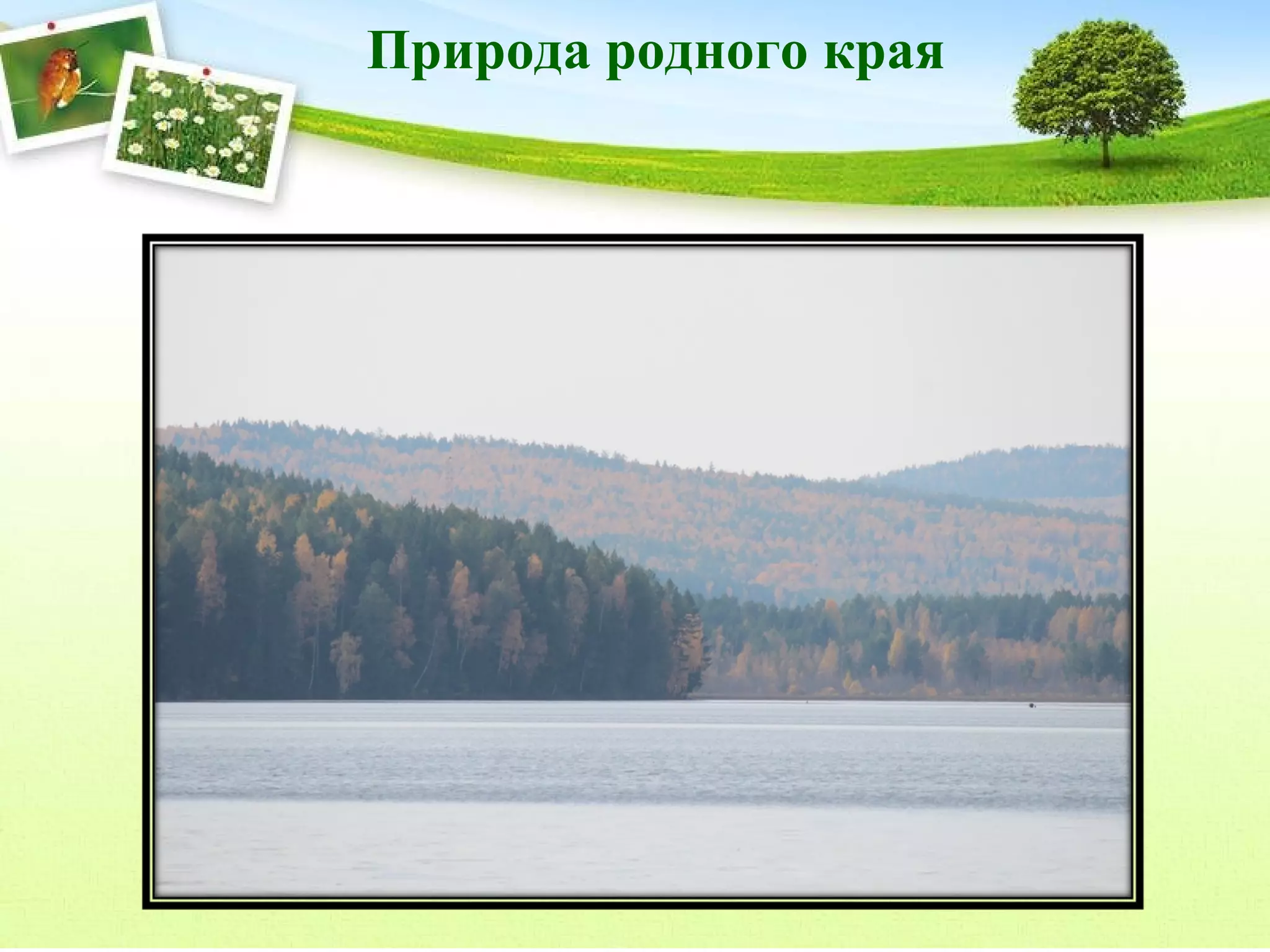 Природа родного края

 