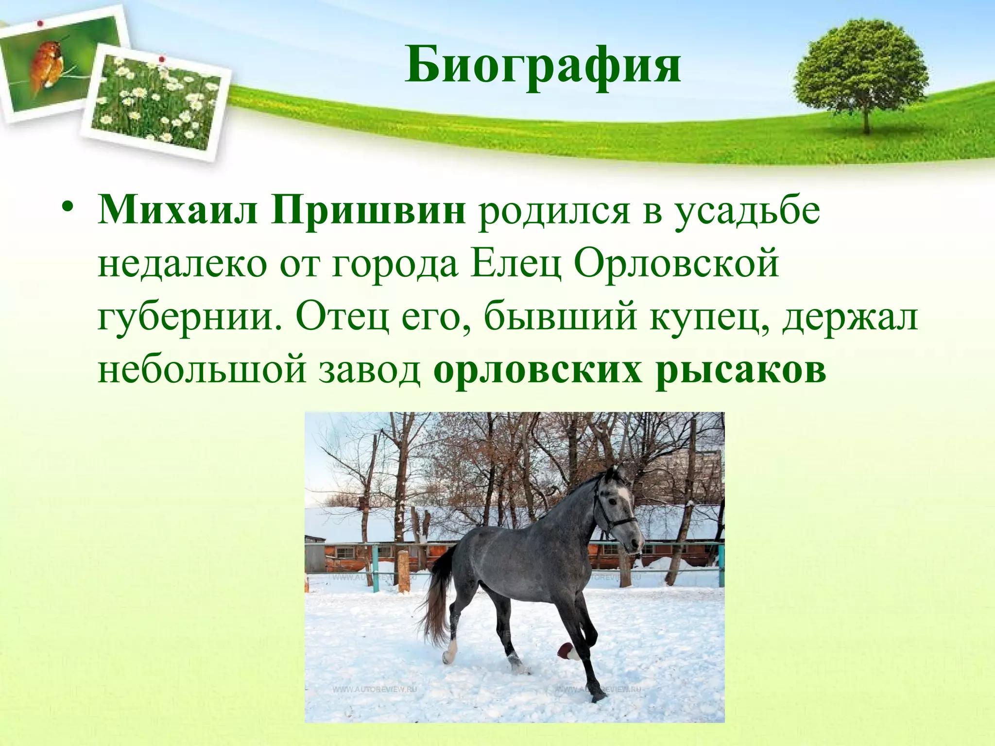 Биография
• Михаил Пришвин родился в усадьбе
недалеко от города Елец Орловской
губернии. Отец его, бывший купец, держал
небольшой завод орловских рысаков

 
