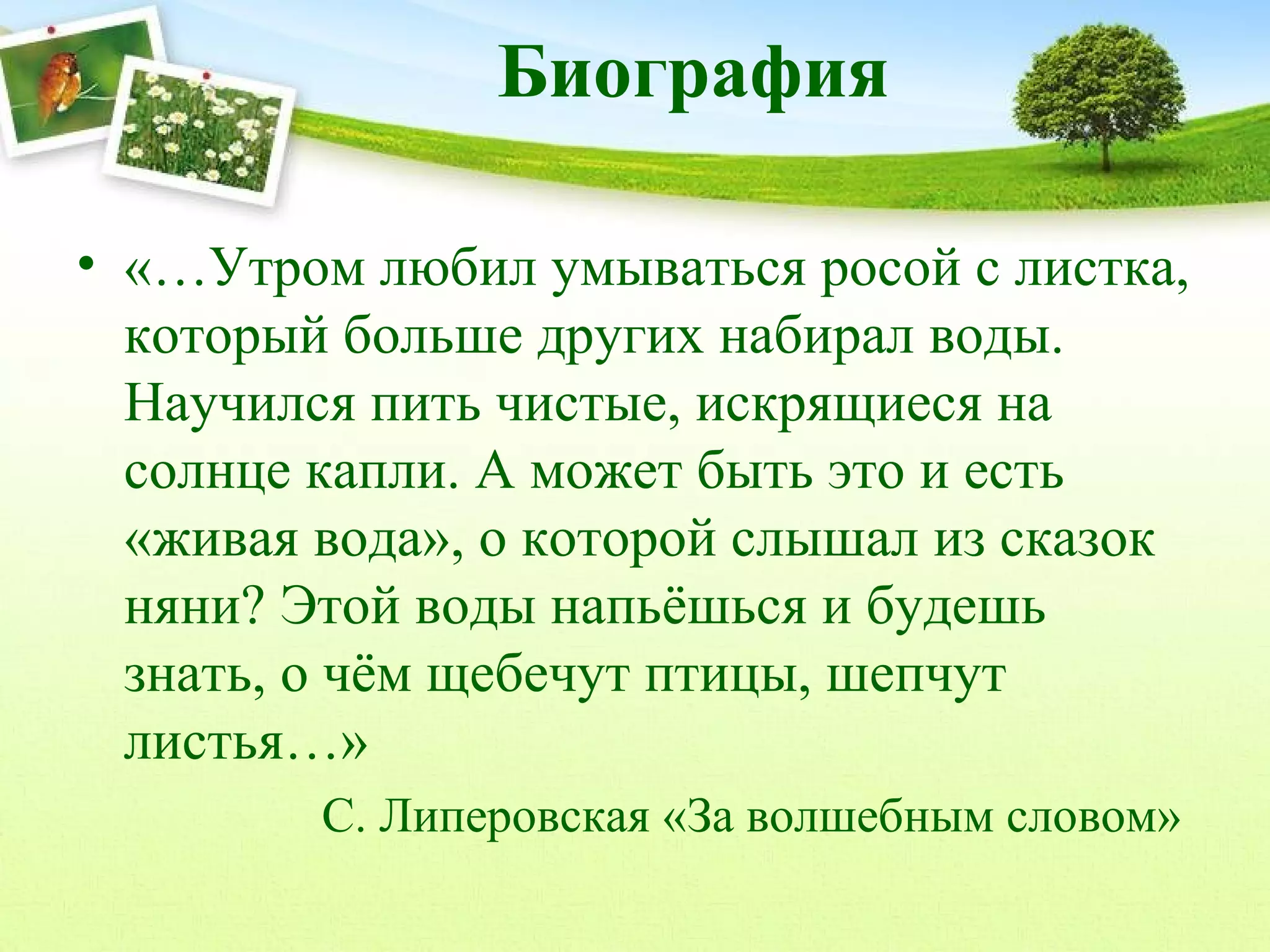 Биография
• «…Утром любил умываться росой с листка,
который больше других набирал воды.
Научился пить чистые, искрящиеся на
солнце капли. А может быть это и есть
«живая вода», о которой слышал из сказок
няни? Этой воды напьёшься и будешь
знать, о чём щебечут птицы, шепчут
листья…»
С. Липеровская «За волшебным словом»

 