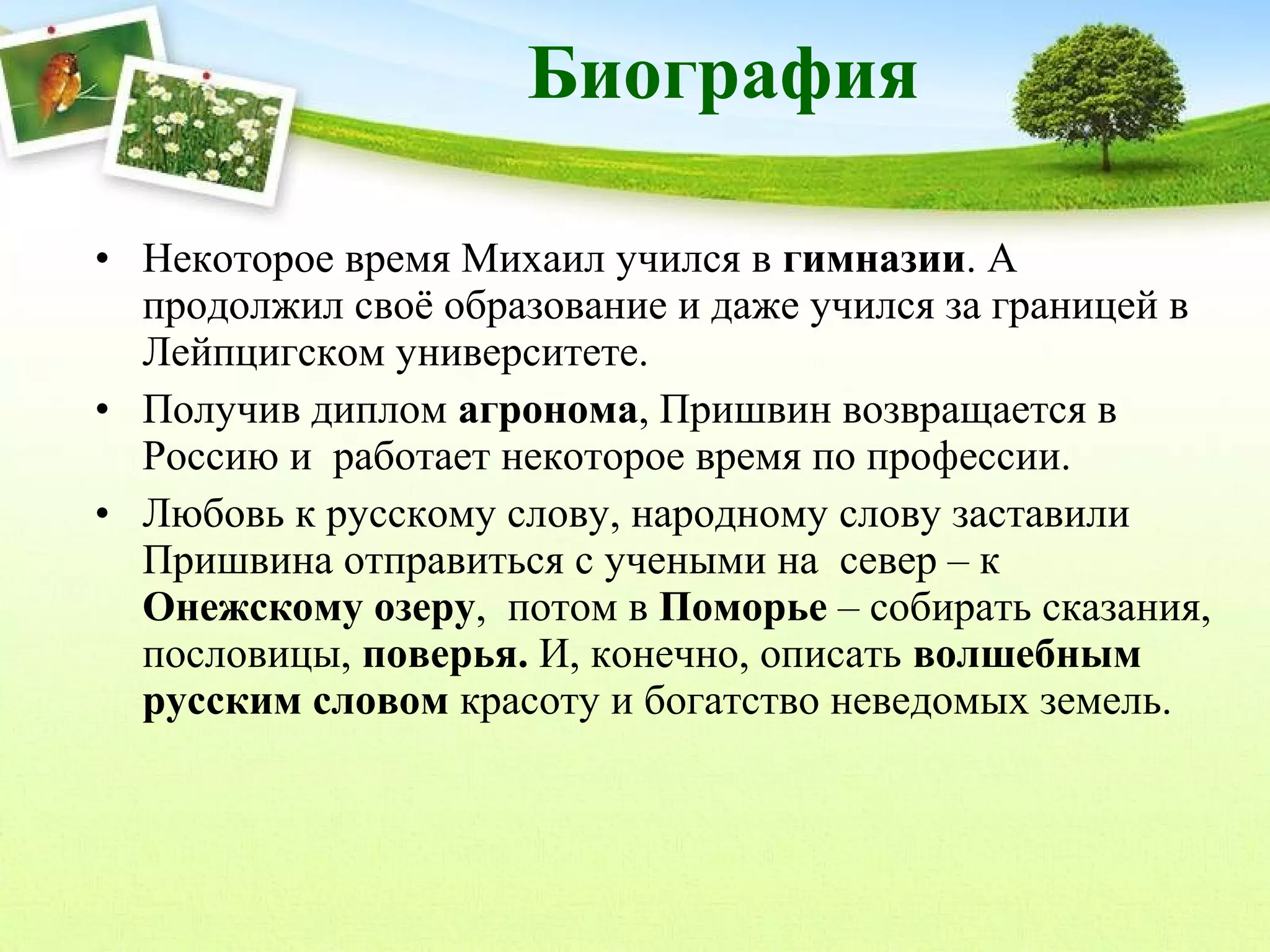 Биография
• Некоторое время Михаил учился в гимназии. А
продолжил своё образование и даже учился за границей в
Лейпцигском университете.
• Получив диплом агронома, Пришвин возвращается в
Россию и работает некоторое время по профессии.
• Любовь к русскому слову, народному слову заставили
Пришвина отправиться с учеными на север – к
Онежскому озеру, потом в Поморье – собирать сказания,
пословицы, поверья. И, конечно, описать волшебным
русским словом красоту и богатство неведомых земель.

 