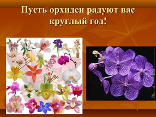 Пусть орхидеи радуют вас
круглый год!

 
