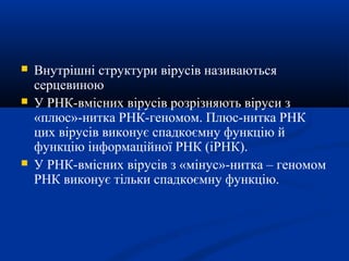 




Внутрішні структури вірусів називаються
серцевиною
У РНК-вмісних вірусів розрізняють віруси з
«плюс»-нитка РНК-геномом. Плюс-нитка РНК
цих вірусів виконує спадкоємну функцію й
функцію інформаційної РНК (іРНК).
У РНК-вмісних вірусів з «мінус»-нитка – геномом
РНК виконує тільки спадкоємну функцію.

 