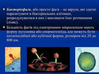 



Бактеріофаги, або просто фаги – це віруси, які здатні
паразитувати в бактеріальних клітинах,
репродукуватися в них і викликати їхнє розчинення
(лізис).
Більшість фагів під електронним мікроскопом мають
форму пуголовка або сперматозоїда, але можуть бути
ниткоподібної або кубічної форми, розміром від 20 до
800 нм.

 