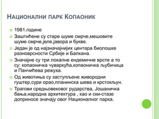 НАЦИОНАЛНИ ПАРК КОПАОНИК








1981.године
Заштићене су старе шуме смрче,мешовите
шуме смрче,јеле,јавора и букве.
Један је од најзначајнијих центара биолошке
разноврсности Србије и Балкана.
Значајне су три локалне ендемичне врсте а то
су: копаоничка чуваркућа,копаоничка љубичица
и Панчићева режуха.
Од животиња су заступљене живородни
гуштер,сури орао,планинска шева и крстокљун.
Трагови средњовековог рударства, Јошаничка
бања,народна архитектура , као и ски-стазе
доприносе значају овог Националног парка.

 