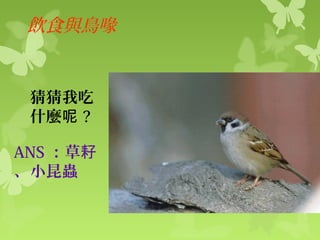 鳥課文提問