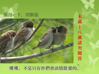 鳥課文提問