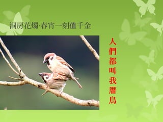 鳥課文提問