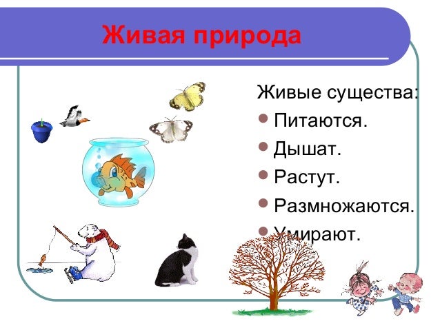 Называется изображение неживой природы как живого существа. Называется изображение неживой природы как живого существа