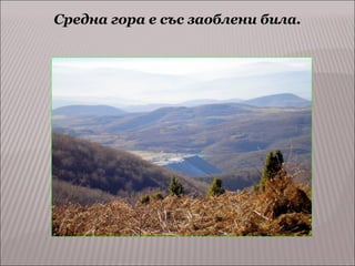 Средна гора е със заоблени била.

 