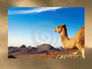 5/12/2013

ΦΩΤΕΙΝΗ ΤΣΟΥΓΑ

3

 