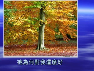 祂為何對我這麼好

 