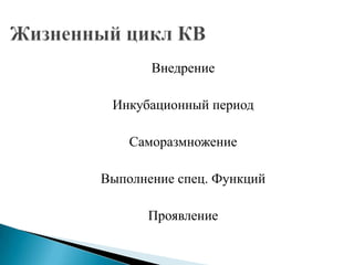 Внедрение
Инкубационный период
Саморазмножение
Выполнение спец. Функций
Проявление

 