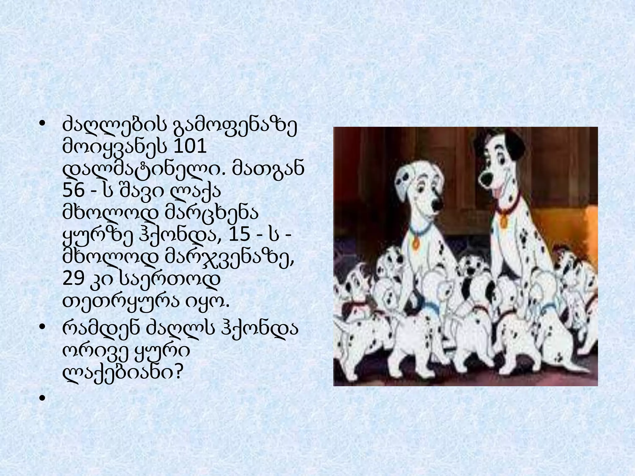 • ძაღლების გამოფენაზე
მოიყვანეს 101
დალმატინელი. მათგან
56 - ს შავი ლაქა
მხოლოდ მარცხენა
ყურზე ჰქონდა, 15 - ს მხოლოდ მარჯვენაზე,
29 კი საერთოდ
თეთრყურა იყო.
• რამდენ ძაღლს ჰქონდა
ორივე ყური
ლაქებიანი?
•

 