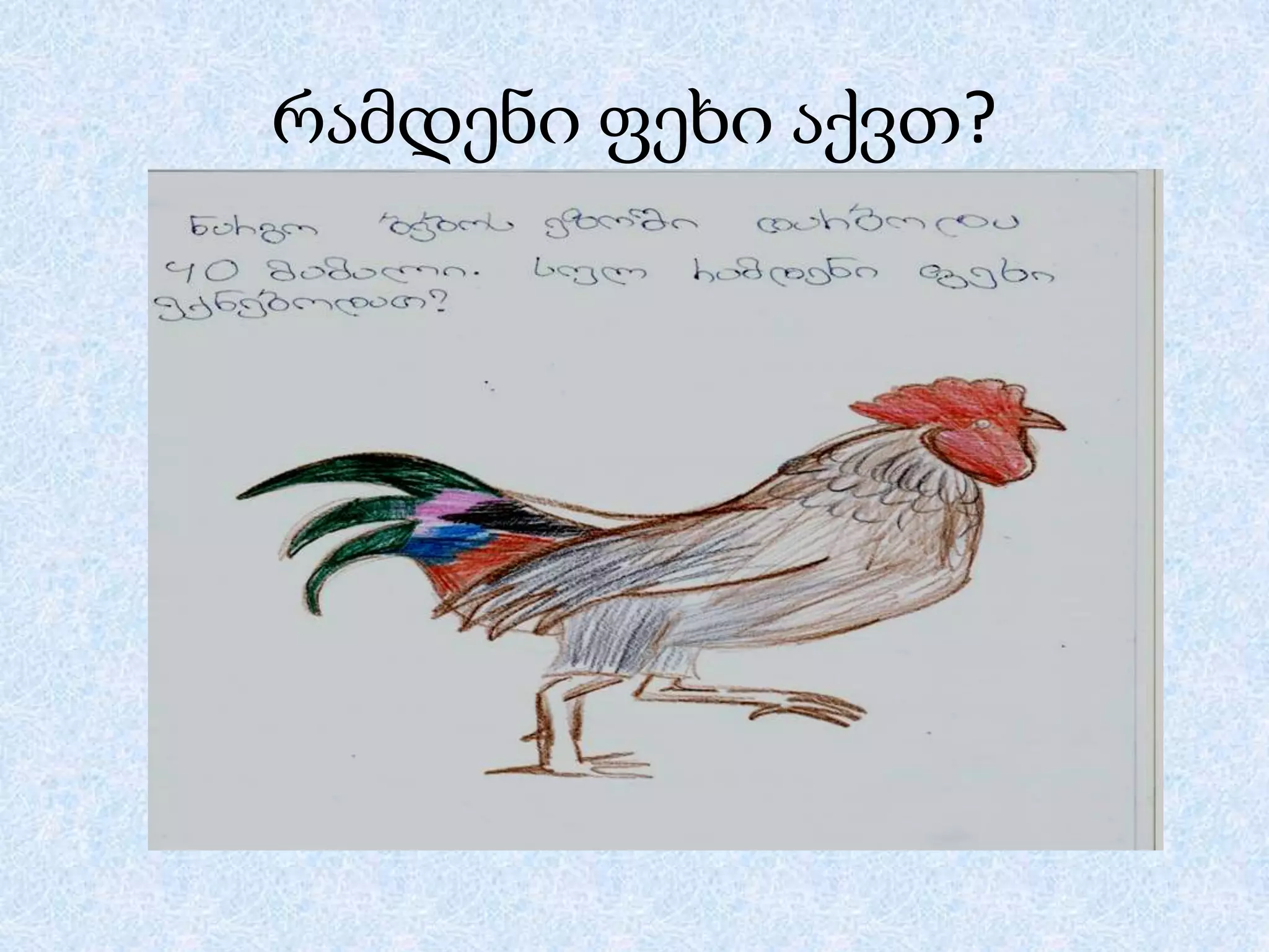 რამდენი ფეხი აქვთ?

 