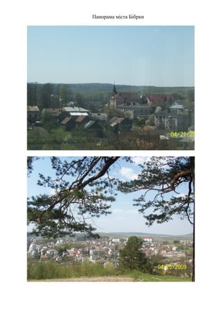 Панорама міста Бібрки

 