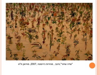 ‫"שדה שחור",מיצב , מגזרות נירוסטה ,7002, מוזיאון ת"א‬

 