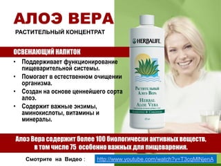 АЛОЭ ВЕРА
РАСТИТЕЛЬНЫЙ КОНЦЕНТРАТ

ОСВЕЖАЮЩИЙ НАПИТОК
• Поддерживает функционирование
пищеварительной системы.
• Помогает в естественном очищении
организма.
• Создан на основе ценнейшего сорта
алоэ.
• Содержит важные энзимы,
аминокислоты, витамины и
минералы.
Алоэ Вера содержит более 100 биологически активных веществ,
в том числе 75 особенно важных для пищеварения.
Смотрите на Видео :

http://www.youtube.com/watch?v=T3cqMlNjenA

 