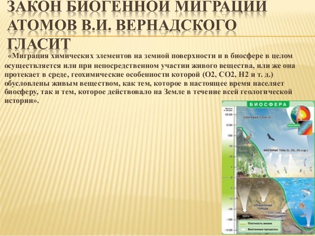 Теория миграции атомов. Закон биогенной миграции атомов. биогенная миграция атомов.