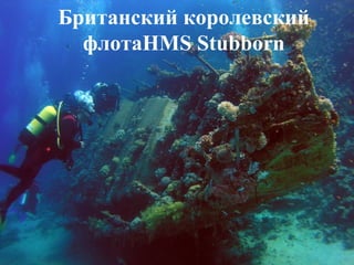 Британский королевский
флотаHMS Stubborn

 
