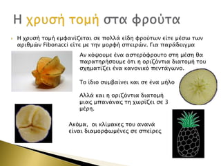 

Η φπτςή σομή εμυανίζεσαι ςε πολλά είδη υπούσψν είσε μέςψ σψν
απιθμών Fibonacci είσε με σην μοπυή ςπειπών. Για παπάδειγμα

Αν κόχοτμε ένα αςσεπόυποτσο ςση μέςη θα
παπασηπήςοτμε όσι η οπιζόνσια διασομή σοτ
ςφημασίζει ένα κανονικό πενσάγψνο.
Σο ίδιο ςτμβαίνει και ςε ένα μήλο
Αλλά και η οπιζόνσια διασομή
μιαρ μπανάναρ ση φψπίζει ςε 3
μέπη.
Ακόμα, οι κλίμακερ σοτ ανανά
είναι διαμοπυψμένερ ςε ςπείπερ

 